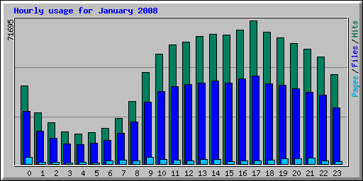 Hourly usage for January 2008