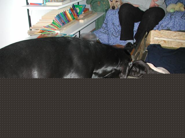 DSCN1958.jpg